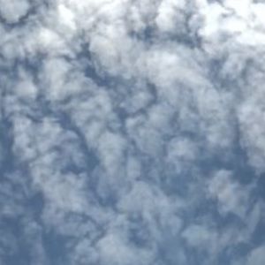 Meet your Posher, Mia